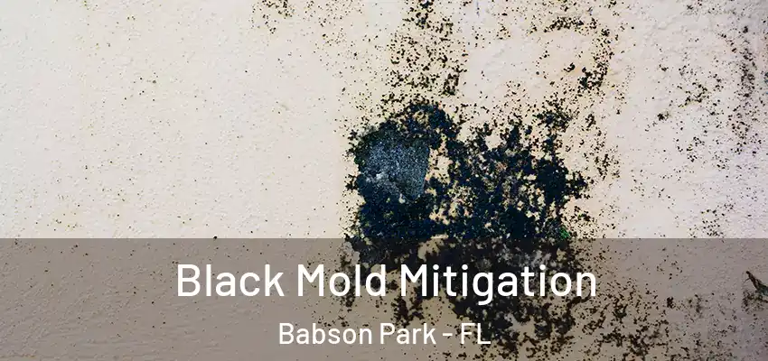 Black Mold Mitigation Babson Park - FL