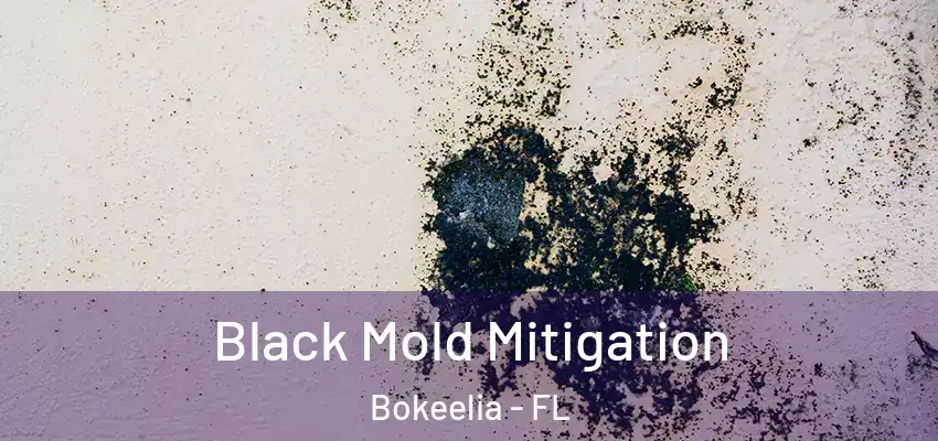 Black Mold Mitigation Bokeelia - FL