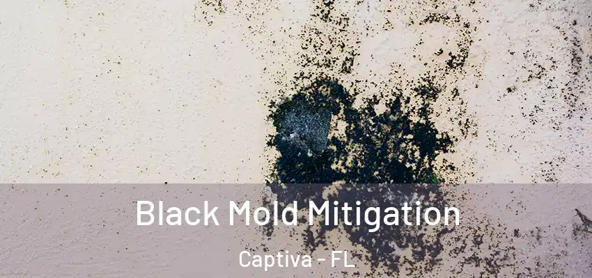  Black Mold Mitigation Captiva - FL