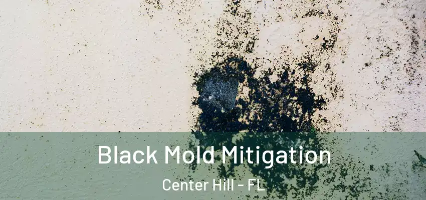 Black Mold Mitigation Center Hill - FL