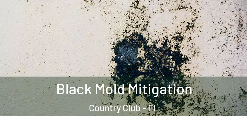 Black Mold Mitigation Country Club - FL