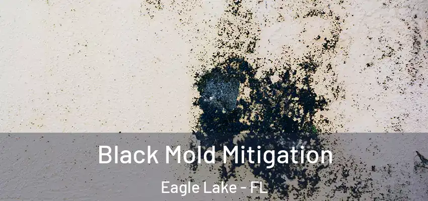 Black Mold Mitigation Eagle Lake - FL