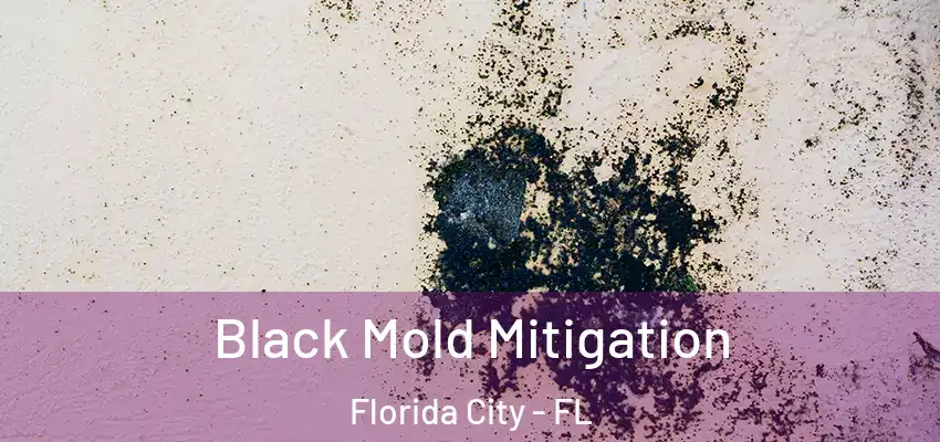 Black Mold Mitigation Florida City - FL