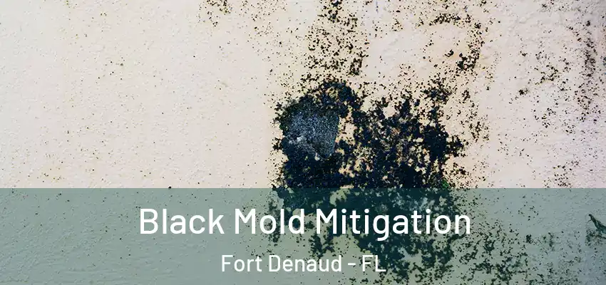 Black Mold Mitigation Fort Denaud - FL