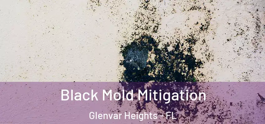 Black Mold Mitigation Glenvar Heights - FL