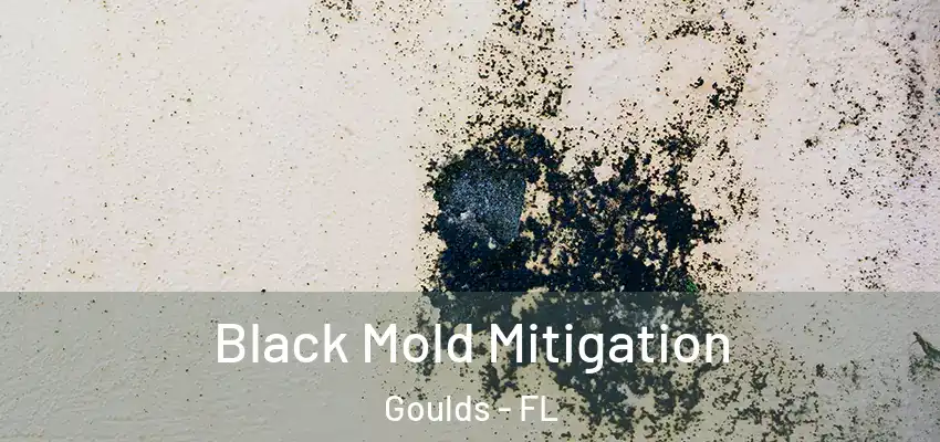 Black Mold Mitigation Goulds - FL