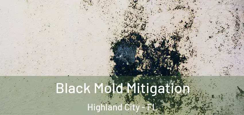 Black Mold Mitigation Highland City - FL