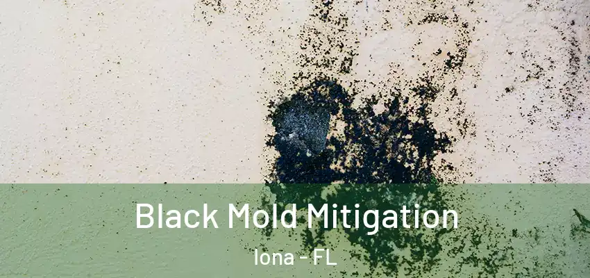 Black Mold Mitigation Iona - FL