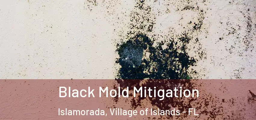 Black Mold Mitigation Islamorada, Village of Islands - FL