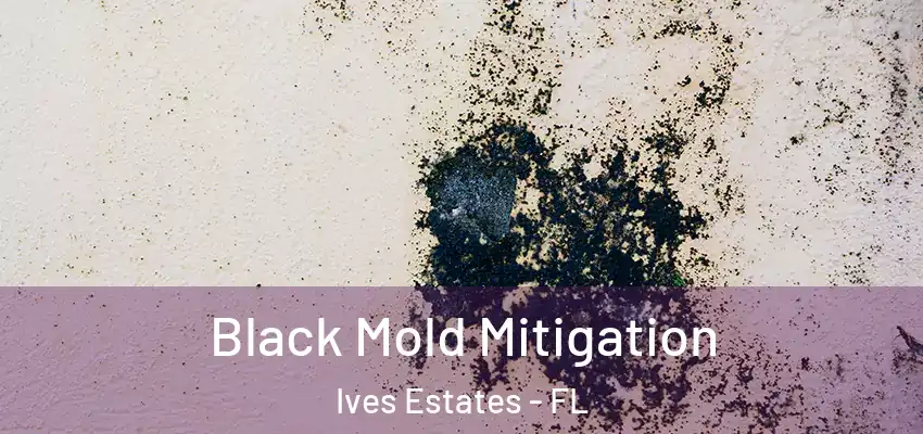 Black Mold Mitigation Ives Estates - FL