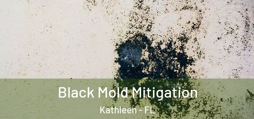 Black Mold Mitigation Kathleen - FL