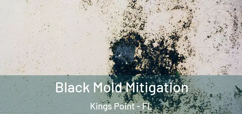Black Mold Mitigation Kings Point - FL