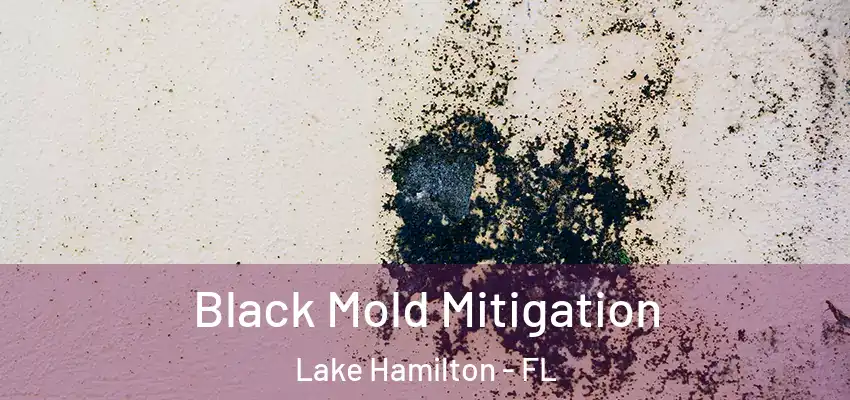 Black Mold Mitigation Lake Hamilton - FL