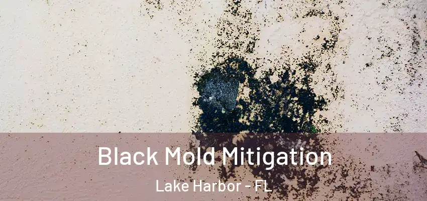 Black Mold Mitigation Lake Harbor - FL