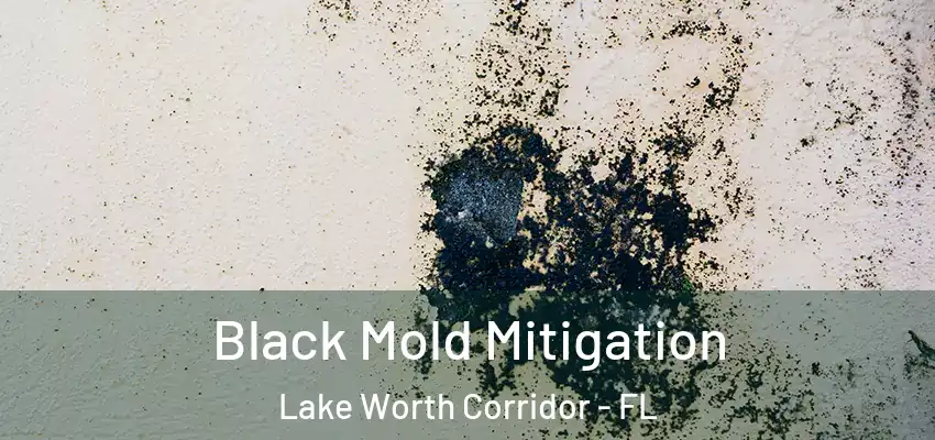  Black Mold Mitigation Lake Worth Corridor - FL