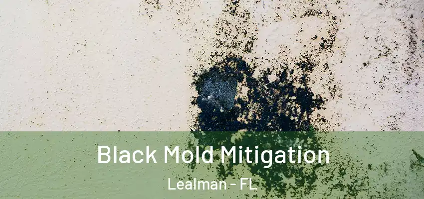 Black Mold Mitigation Lealman - FL