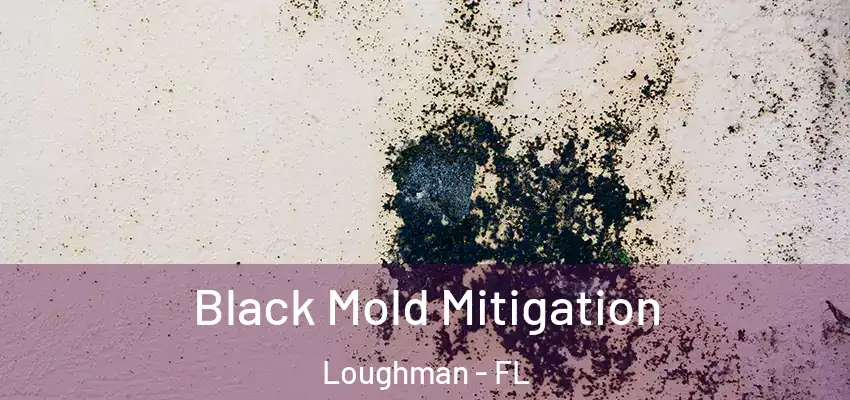 Black Mold Mitigation Loughman - FL