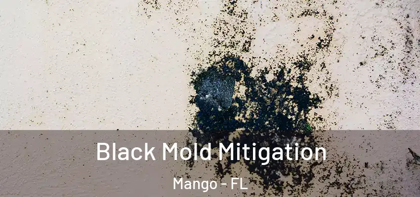 Black Mold Mitigation Mango - FL