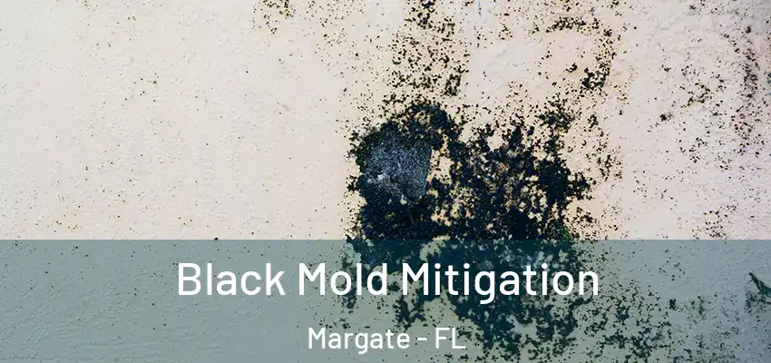  Black Mold Mitigation Margate - FL