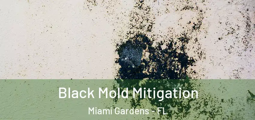 Black Mold Mitigation Miami Gardens - FL