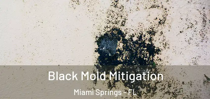  Black Mold Mitigation Miami Springs - FL