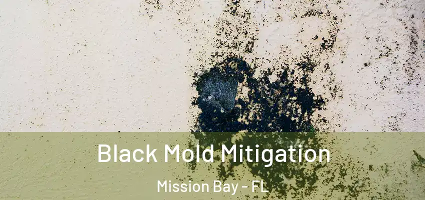  Black Mold Mitigation Mission Bay - FL
