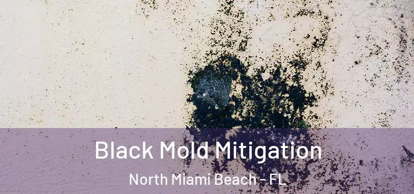  Black Mold Mitigation North Miami Beach - FL