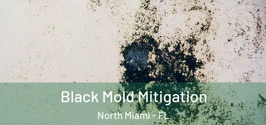 Black Mold Mitigation North Miami - FL