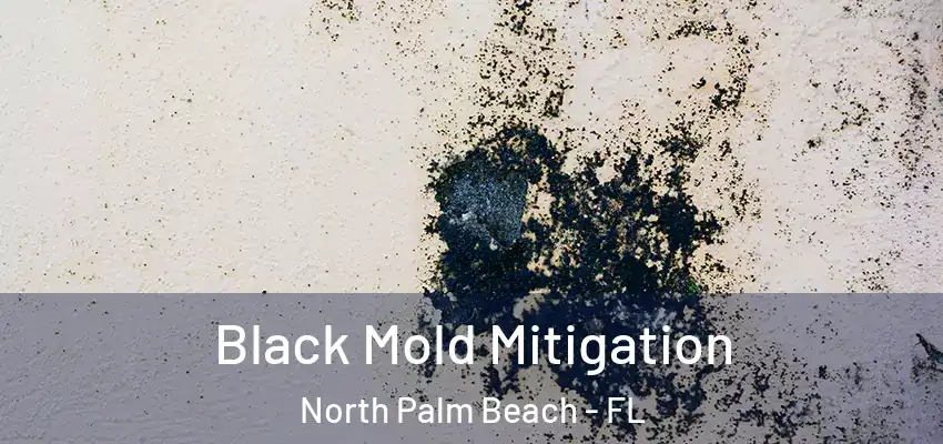  Black Mold Mitigation North Palm Beach - FL