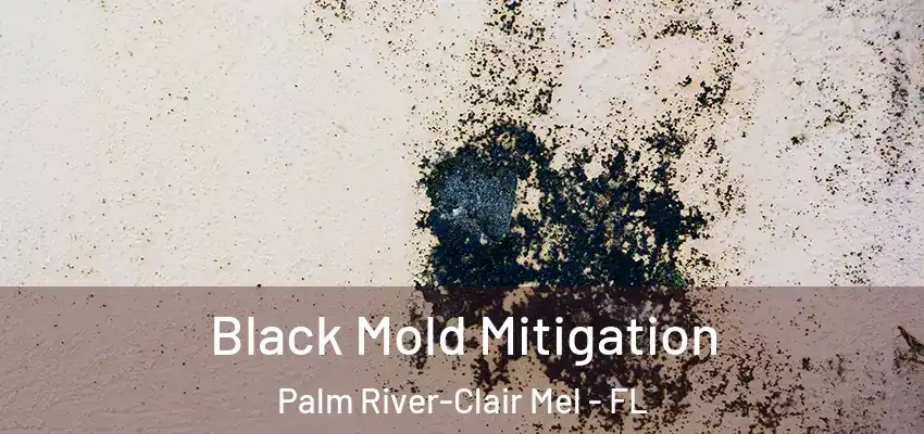 Black Mold Mitigation Palm River-Clair Mel - FL