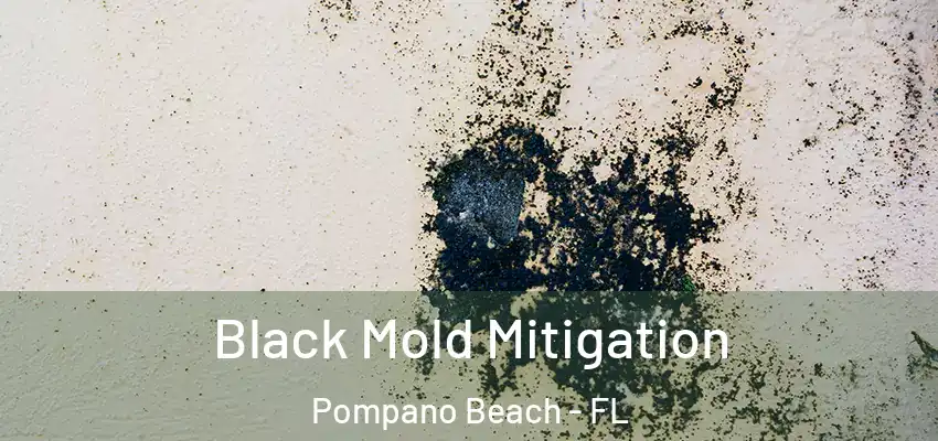  Black Mold Mitigation Pompano Beach - FL