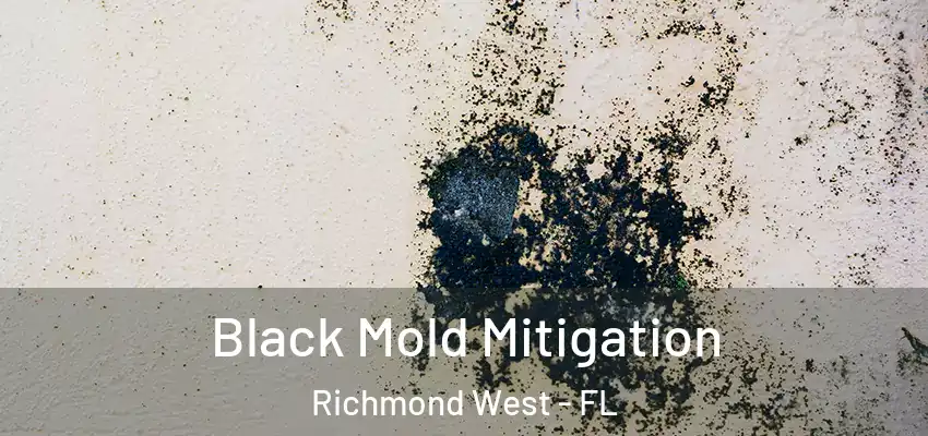 Black Mold Mitigation Richmond West - FL