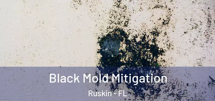 Black Mold Mitigation Ruskin - FL