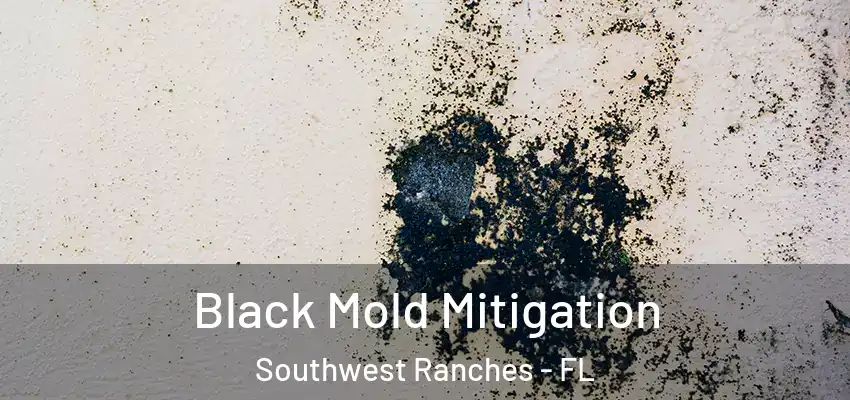  Black Mold Mitigation Southwest Ranches - FL