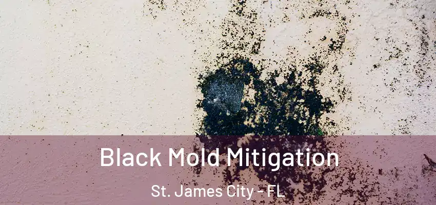 Black Mold Mitigation St. James City - FL