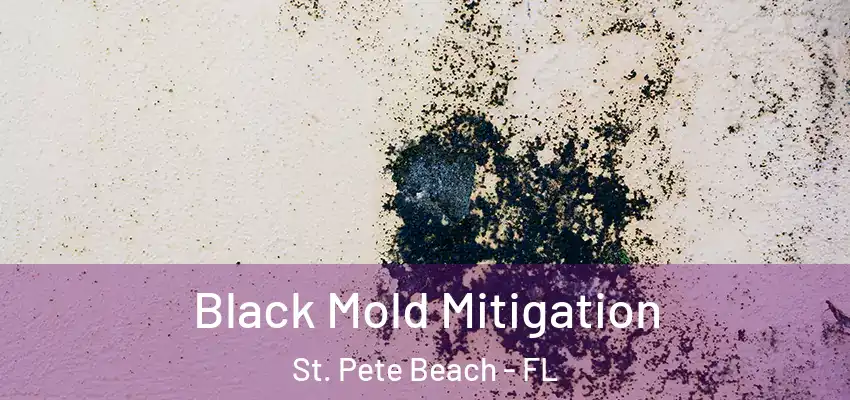 Black Mold Mitigation St. Pete Beach - FL