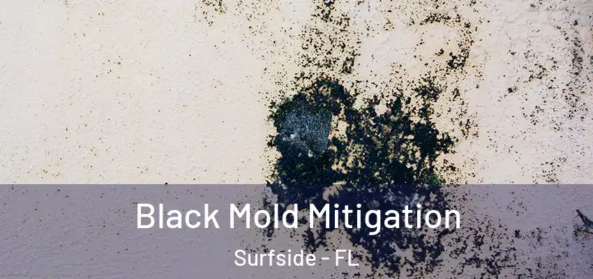 Black Mold Mitigation Surfside - FL