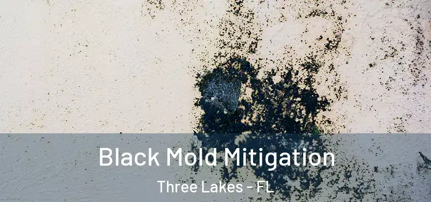 Black Mold Mitigation Three Lakes - FL