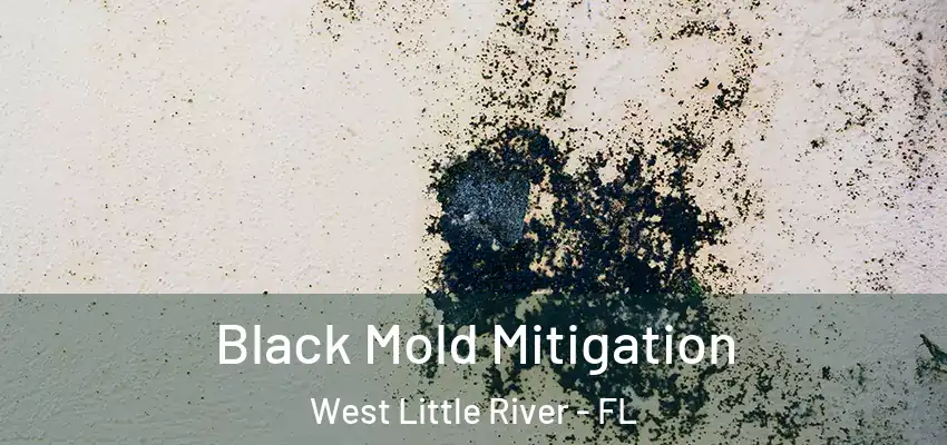  Black Mold Mitigation West Little River - FL
