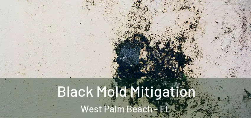 Black Mold Mitigation West Palm Beach - FL