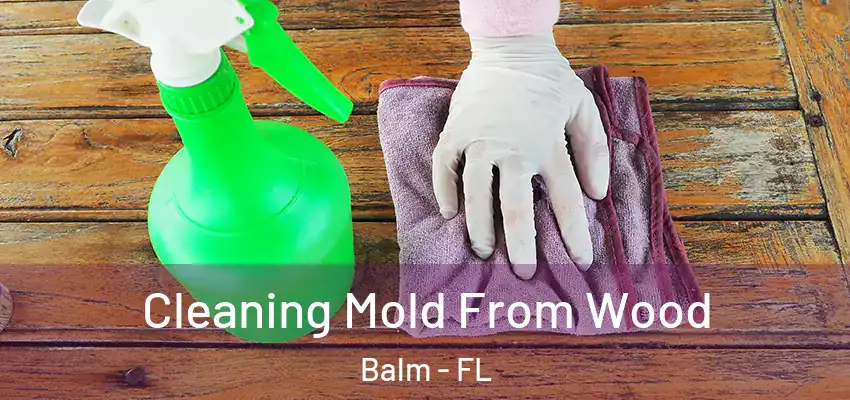 Cleaning Mold From Wood Balm - FL