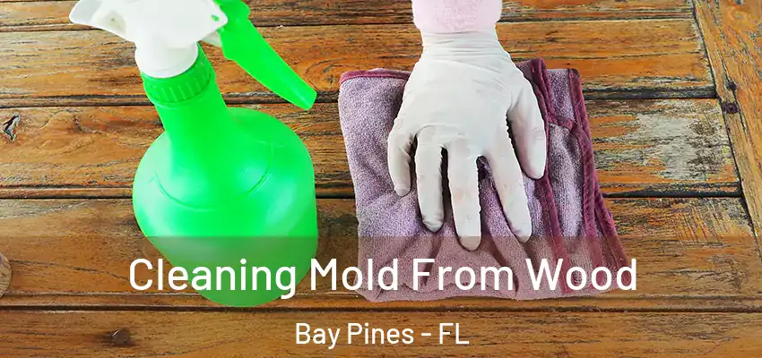 Cleaning Mold From Wood Bay Pines - FL
