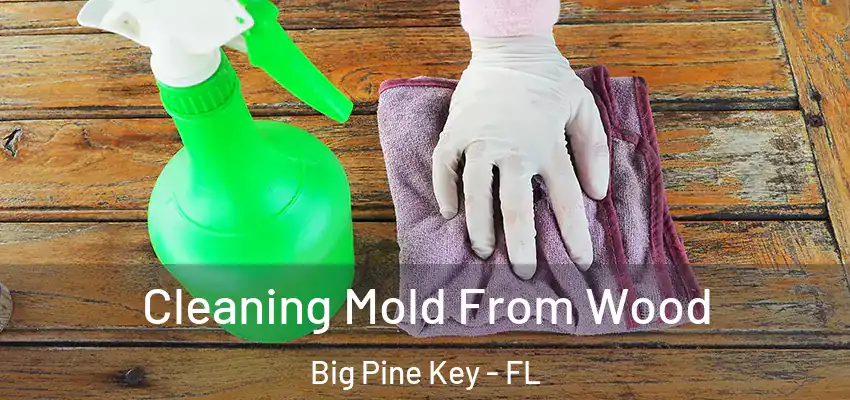  Cleaning Mold From Wood Big Pine Key - FL