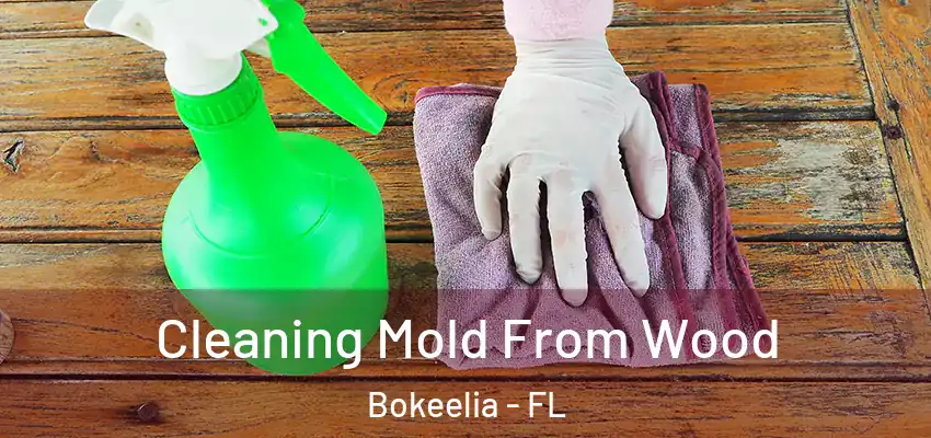 Cleaning Mold From Wood Bokeelia - FL