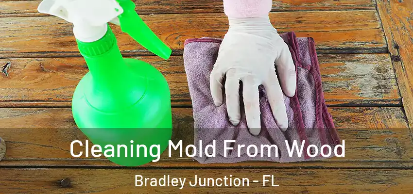  Cleaning Mold From Wood Bradley Junction - FL