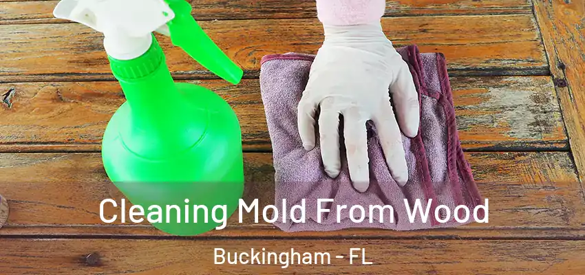 Cleaning Mold From Wood Buckingham - FL