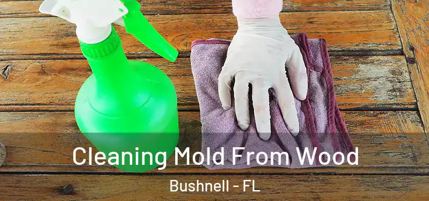  Cleaning Mold From Wood Bushnell - FL