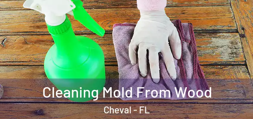 Cleaning Mold From Wood Cheval - FL