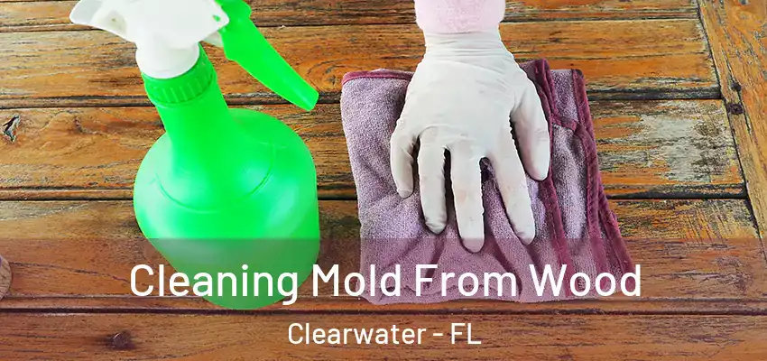  Cleaning Mold From Wood Clearwater - FL
