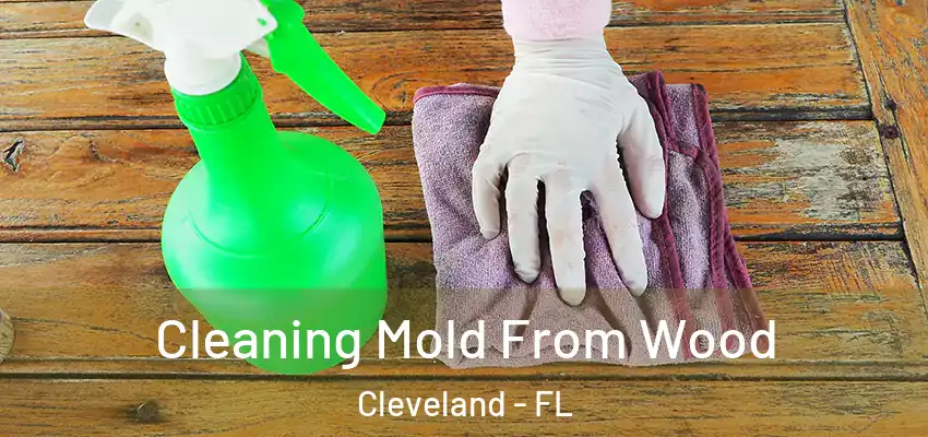  Cleaning Mold From Wood Cleveland - FL